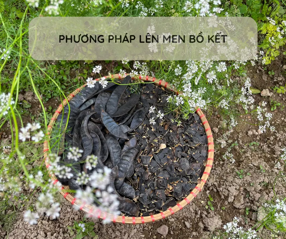 PHƯƠNG PHÁP LÊN MEN BỒ KẾT